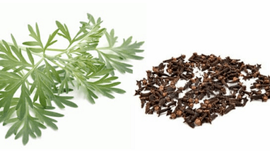 Nelken و Wormwood لإزالة الطفيليات من الجسم