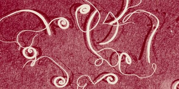 صور الطفيليات البشرية